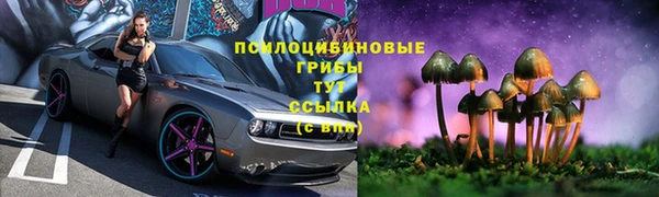 гидра Переславль-Залесский