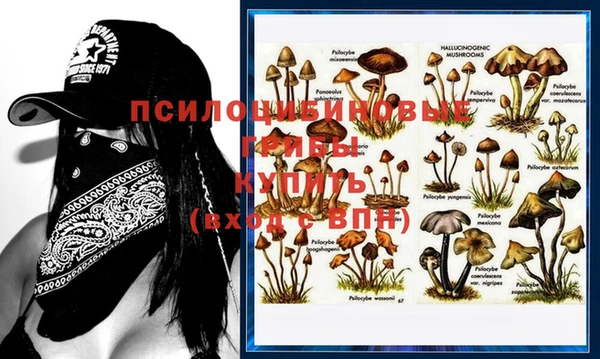 гашик Осташков