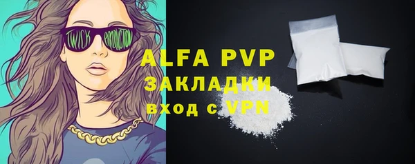 ешки Пересвет