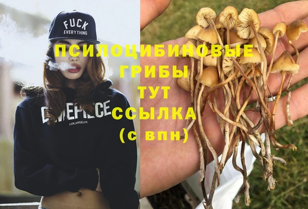 ешки Пересвет