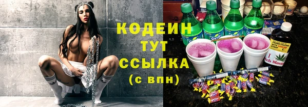 ешки Пересвет
