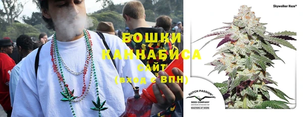 гидра Переславль-Залесский
