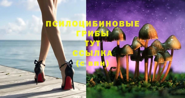 ешки Пересвет