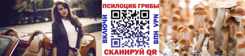 Псилоцибиновые грибы Cubensis  купить закладку  Амурск 