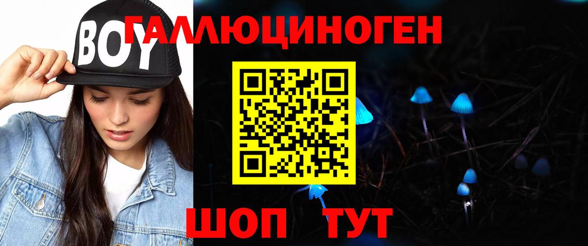 Галлюциногенные грибы Cubensis  цена наркотик  Амурск  Вход с VPN 