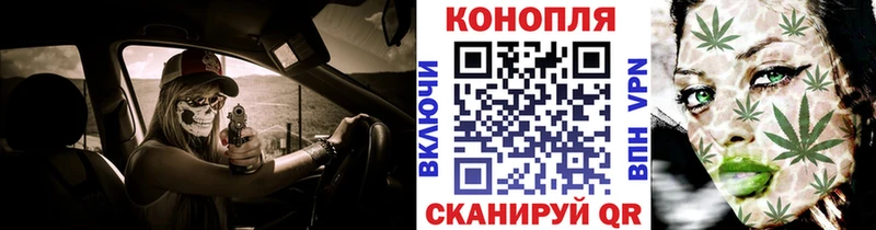 Каннабис OG Kush Амурск